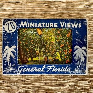 Vintage Postcard Pack | Florida